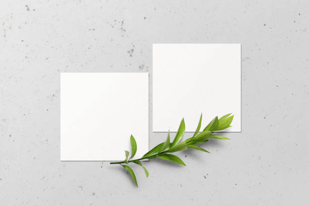 istock Clean minimal square flyer mockup on cement with leaves and shadow 1424304302