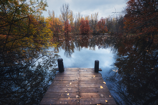Horizontal view of a wooden dock covered by orange fallen leaves surrounded by trees reflected on a lake in autumn