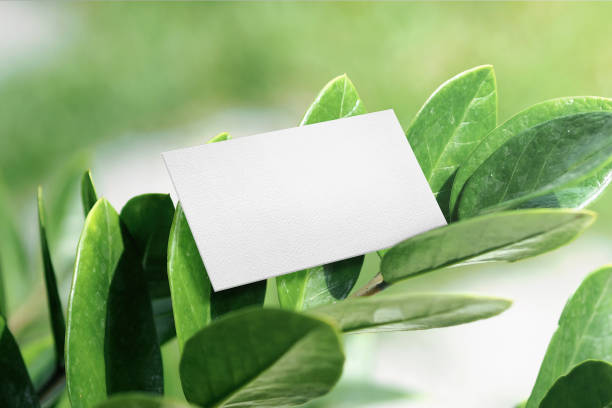istock Clean minimal business card mockup on leaves 1424304919