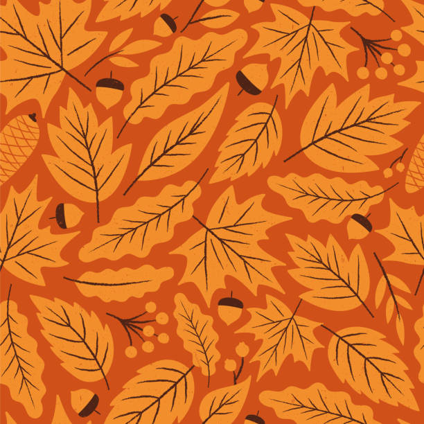 illustrazioni stock, clip art, cartoni animati e icone di tendenza di autumn leaves motivo senza cuciture. - maple tree autumn textured leaf