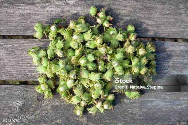 Many Unpeeled Gum Nuts Are Lying On A Wooden Table Stock Photo - Download Image Now - Breaking, Brown, Close-up