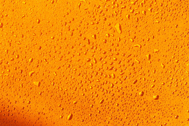 istock Beautiful autumn orange background in drops 1424310578