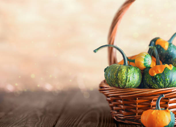istock little pumpkins in a wicker basket. place for text 1424316517