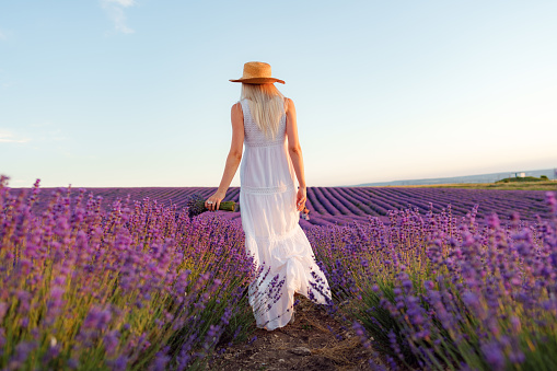 Back view of female in dress and hat standing in beautiful lavender field