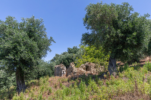 Ruins of an old house near Afionas on the island of Corfu, Greece