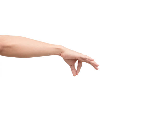 istock Hand catch item by finger on white isolated background 1424326734