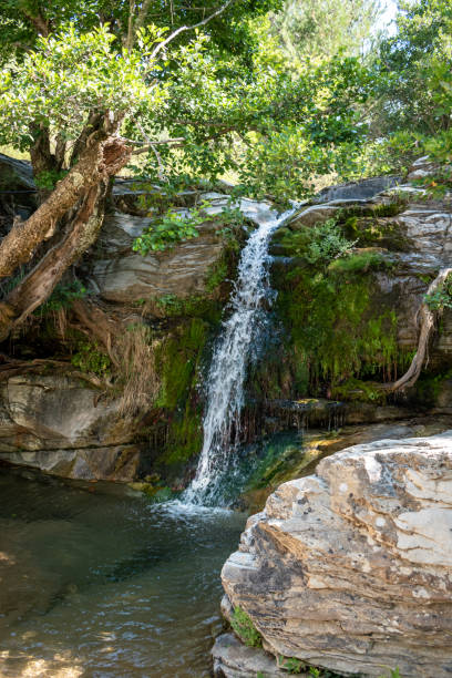 istock Beautiful waterfalls Maries, Thassos, Greece 1424328008