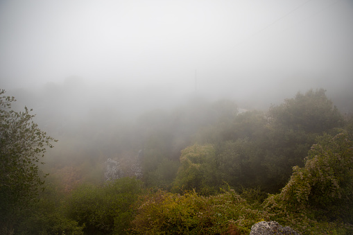 Huge fog on mountain in Turkey
