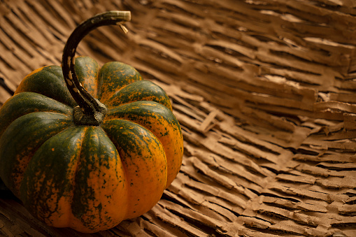 Autumn background with pumpkins