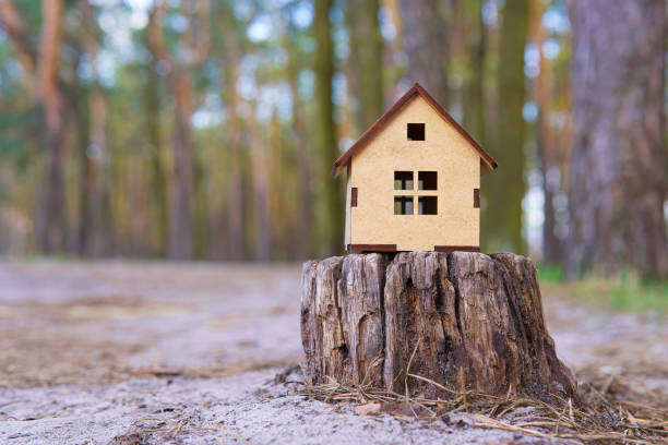 istock Plywood house model placed on a tree stump 1424343895