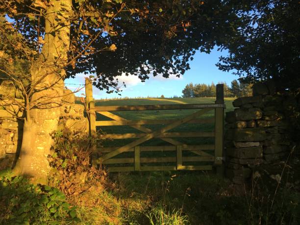 istock English countryside wooden gate. Surrounded by a tree with views beyond across fields. Bathed in evening sunlight 1424348826