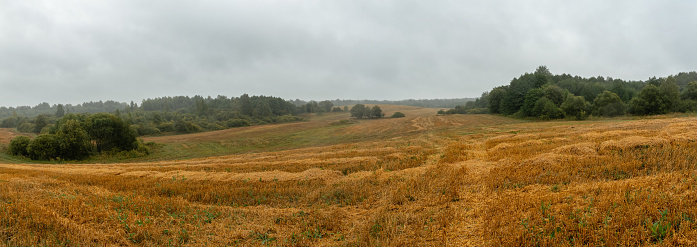 Dramatic landscape, late gloomy autumn, agricultural field after harvest with dry grass and straw, cloudy weather with a stormy sky