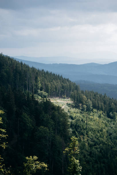 Scenic view of the Carpathian mountains in Ukraine