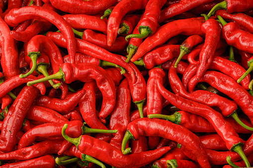 Fresh red pepper border on white background