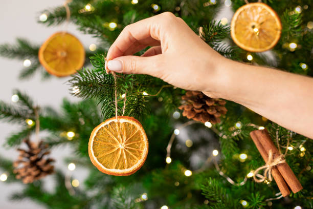 weibliche hände, die getrocknete orangenscheiben an den weihnachtsbaum hängen - getrocknete speise stock-fotos und bilder