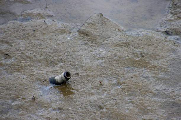 Beer bottle in the mud during low tide, concept of environmental pollution