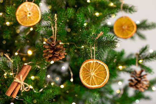 Christmas tree with natural decoration. Dried orange slices, fir cones and cinnamon sticks hanging on Christmas tree. closeup
