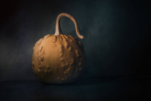 green yellow pumpkinSee also my other pumpkin and vegetable garden images: