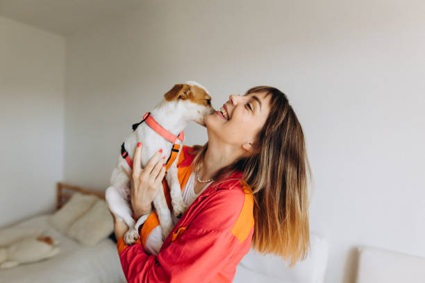 istock The cute puppy licking his cheerful owner 1424362942