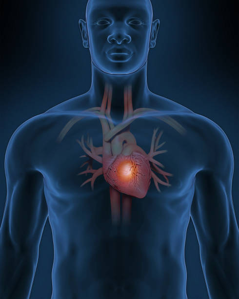 Confident man with healthy heart
