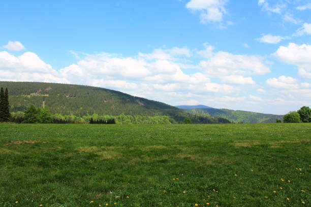 istock Mountain pastures, Close to Andreasberg in the Harz Mountains 1424369959
