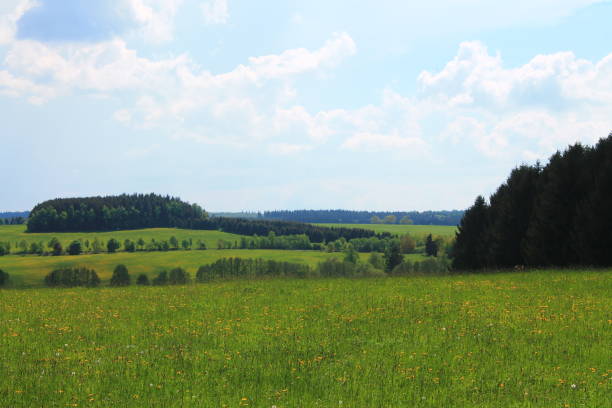 istock Green pastures in the Harz Mountains 1424370049