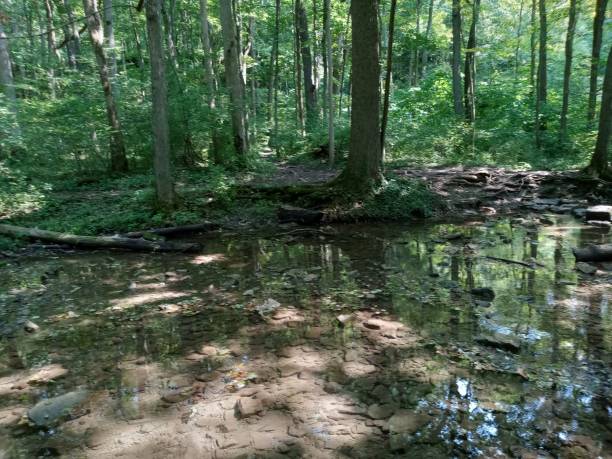 istock Clear clean spring water from Yellow Springs Ohio 1424371433