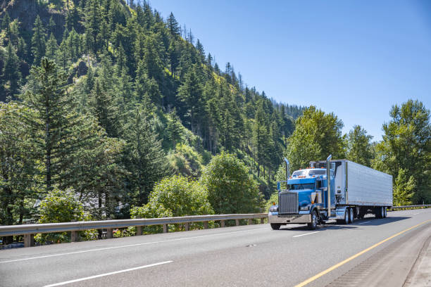 Blue American idol classic bonnet big rig semi truck tractor transporting frozen food in reefer semi trailer driving on the highway road with forest on the side stock photo