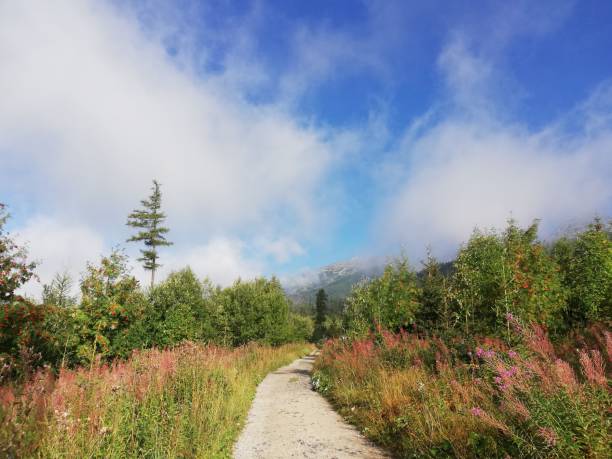 Hiking to Krivan summit in High Tatras in Slovakia, Red Trail from Strbske Pleso