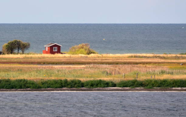 strandhaus auf der insel ærø, dänemark - denmark house flag danish flag stock-fotos und bilder