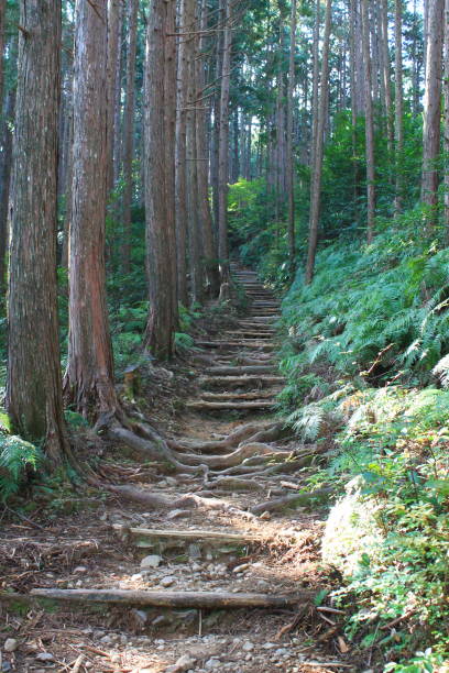 istock Hiking trail on the Kumano Kodo 1424377518