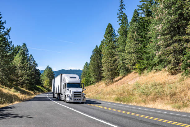 cofano grigio grande carro semi camion che trasporta merci congelate in frigorifero semirimorchio che guida sulla strada tortuosa con foresta ai lati - corsa di superstrada foto e immagini stock