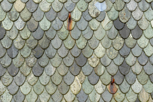 Roof covering material with asbestos fibres. Health harmful and hazards effects. Prolonged inhalation of microscopical fibers causes fatal illnesses including lung cancer.