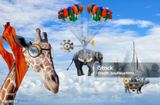 Race Over The Serengeti Stock Photo - Download Image Now - Animal, Strength, Giraffe