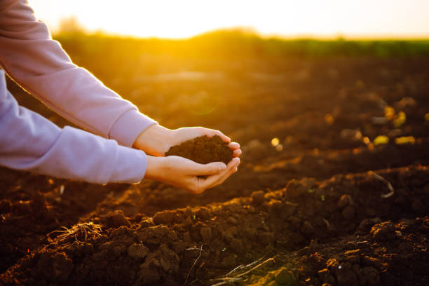 Fluides écologiques image