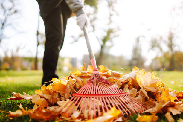 istock Autumn clean in garden back yard. 1424386472