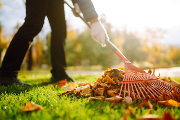 istock Autumn clean in garden back yard. 1424386514