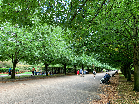 Regent's park in London city, England