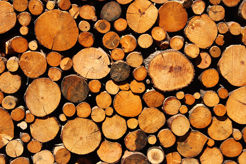 Stacked firewood and timber as background