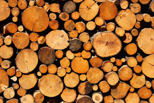Stacked firewood and timber as background stock photo