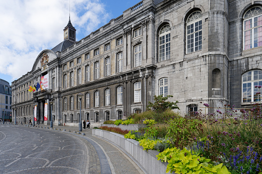 This landscape photo was taken, in Europe, in France, in ile de France, in Paris, on the banks of the Seine, in summer. We see the town hall, under the sun.