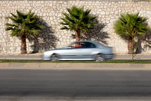 car speeding in front of palm trees