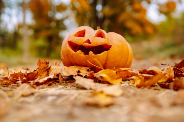 istock Set of orange pumpkins for halloween. 1424390855