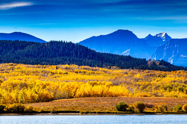 istock Payne Lake Provincial Recreation Area Cardston County Alberta Canada 1424391686