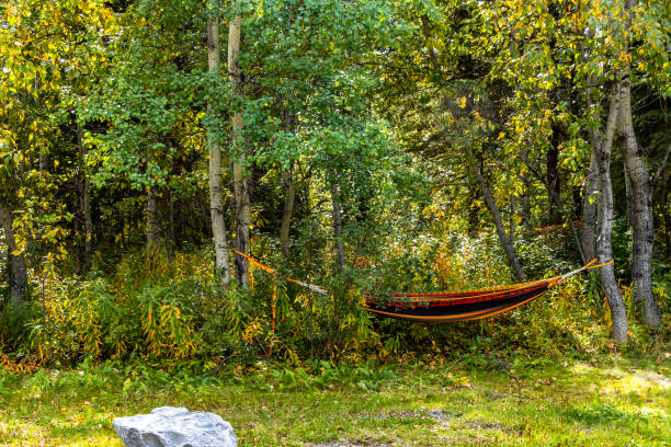 istock Phyliss Lake Provincial Recreation Area Alberta Canada 1424391736