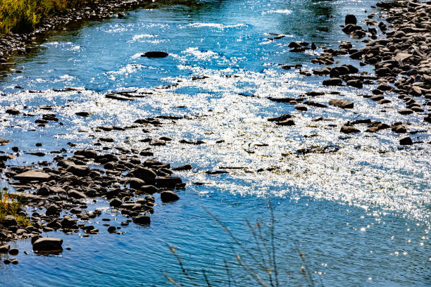 istock Willow Creek Provincial Recreation Area MD of Willow Creek Alberta Canada 1424392998