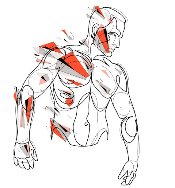 istock Linear drawing of a perfect body fit model man posing vector illustration isolated, muscular macho sexy guy with naked torso topless. 1424395923