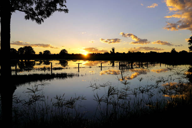 istock Taree, NSW, Australia 1424399728