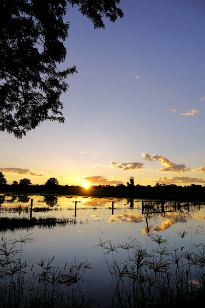 istock Taree, NSW, Australia 1424399966
