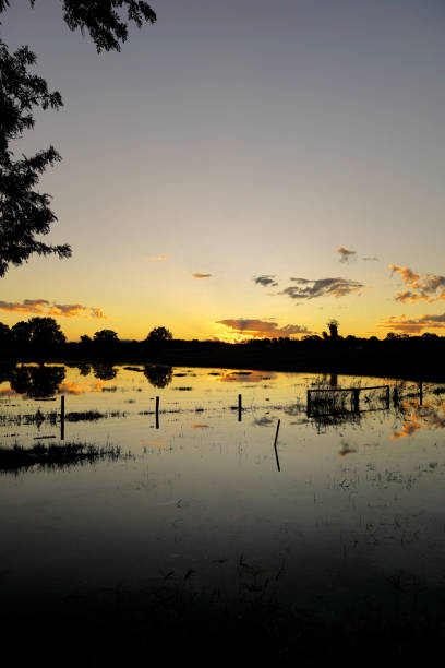 istock Taree, NSW, Australia 1424401357